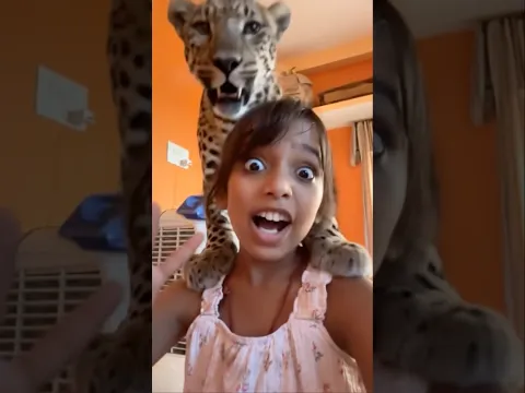 Tiger 🐅 #youtubeshorts