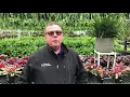 PG Plant Expert Tip What Can You Plant Now