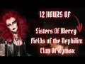 12 Hours of Sisters Of Mercy VS Fields of the Nephilim VS Clan Of Xymox