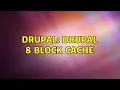 Drupal Drupal 8 block cache 2 Solutions