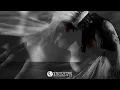 Maxi Vega & Fakdem - Tribe (Remix Edition) [VIDEO TEASER] | Steyoyoke Black