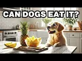 Can Dogs Eat Pineapple Explained