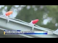 Recycling ribbon and tinsel could shut down Horry County Solid Waste facility