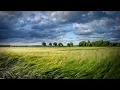 Download Lagu Pienso Viento - Casa Rosa