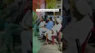 السودانيين في مصر يتكلمون بصراحة لاول مره 