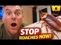 How to Stop Palmetto Bugs Before They Enter Your Home Pest Pro Explains