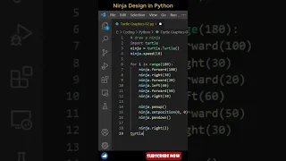 Draw a Ninja Design using python turtle