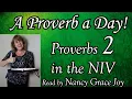 Proverbs 2 in NIV Bible read by Nancy Grace Joy