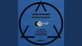 Everything Disappeared 