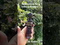 Download Lagu #djipocket3 #dji #gimbal #pocket3 #youtubecameras #asmr #djiglobal
