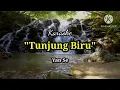Download Lagu karaoke tunjung biru @ yanse