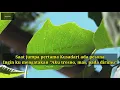 SAAT JUMPA PERTAMA KARAOKE HQ Audio Stereo || Ike Nurjanah