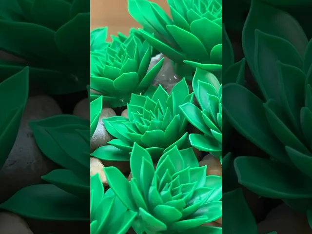 Hens and Chicks - Resin video thumbnail