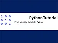 print identity matrix in python