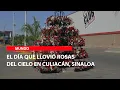 The day it rained roses from the sky in Culiacan Sinaloa