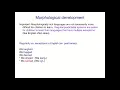 AcqOfLang1 Cross-Linguistic Morphological Development