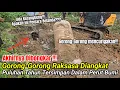 MANTAP‼️GORONG-GORONG RAKSASA SUKAMULYA DIBONGKAR. ADA KERANGKENG APAKAH INI PENJARA BELANDA ⁉️