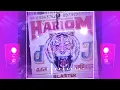 Download Lagu Dostana  DJ kafeel kanth MBD