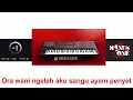 Download Lagu Karaoke - Gedang Klutuk (Stereo)