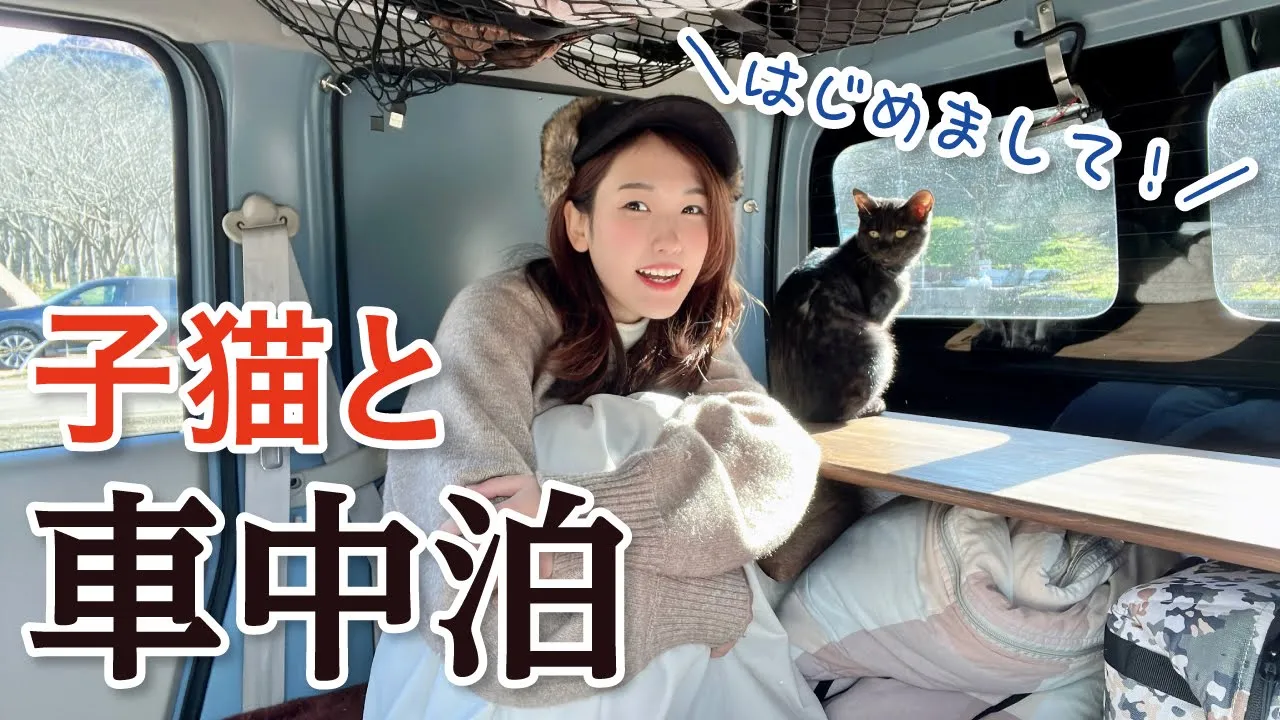【車中泊女子】保護猫と一緒に車中泊キャンプ｜ちょこっと家電で焼肉パーティー／笠置キャンプ場・京都 サムネイル