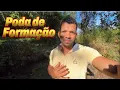 Download Lagu UMA MANHÃ DE DOMINGO NO SÍTIO | FIZ UMA PODA DE FORMAÇÃO NOS PÉS DE A CACAU…
