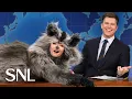 Weekend Update: Drunk Raccoon on Breaking Into a Liquor Store - SNL