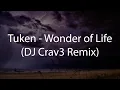 Download Lagu Tuken - Wonder of Life (DJ Crav3 Remix)