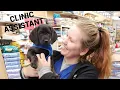 Pros and Cons of Being a Clinic Assistant with VIP Petcare