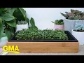 GMA Deals and Steals on kitchen favorites and gifts to entertain the whole family l GMA