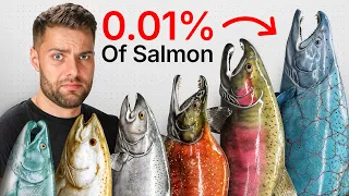 I Cooked Every EXOTIC Salmon