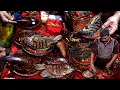 Download Lagu PENYETAN PALING RAME DI SURABAYA!! 2 KWINTAL IKAN LUDES SEKALI JUAL??