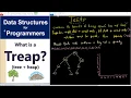 The Treap Data Structure Tree Heap