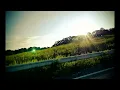 ถนนบนต้นไม้ใหญ่ - วัชราวลี [Official-audio]