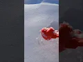 Download Lagu Snowheart Secrets: How to Shape your Winter Love! #satisfying #Shorts