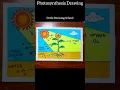 How to draw Photosynthesis