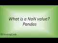 What s a NaN value in a Pandas DataFrame