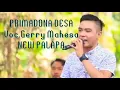 Download Lagu New PALAPA -PRIMADONA DESA- Gerry Mahesa lirik vidio