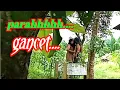 Download Lagu SEPASANG SUKU MANTE MEMADU KASIH/mantecantik