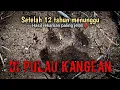 Download Lagu Sangat langka‼️di Pulau Kangean Macan terekam