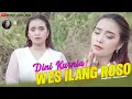 Download Lagu Dini Kurnia - Wes Ilang Roso (Official Music Video)
