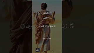 تلاوة مباركة من سورة القصص للقاريء محمد مسعد عطالله دندنها