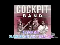 Lagu KARAOKE COCKPIT - HARUSKAH KU BERLARI