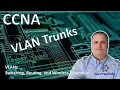 VLAN Trunks - VLANs