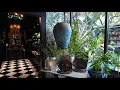 Download Lagu Step Inside the Most Beautiful Garden Shoppe \u0026 Florist
