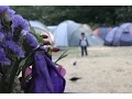 The Big Park Sleepover 2016 Myatt s Fields Park London