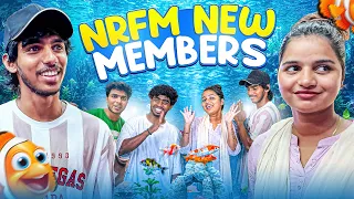 🏠வீட்டில் புதிய Members 😍 | Finally வந்தாச்சு 🐠🐟#nrfm #vlog #fish 