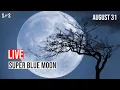 Download Lagu Blue moon of August 2023 LIVE | Super Blue Moon | August 31
