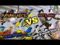 Download Lagu Suara pikat burung kecil dan KUTILANG paling heboh dan luar biasa ❗❗
