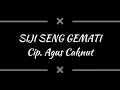 Siji Seng Gemati ~ by Agus Caknut