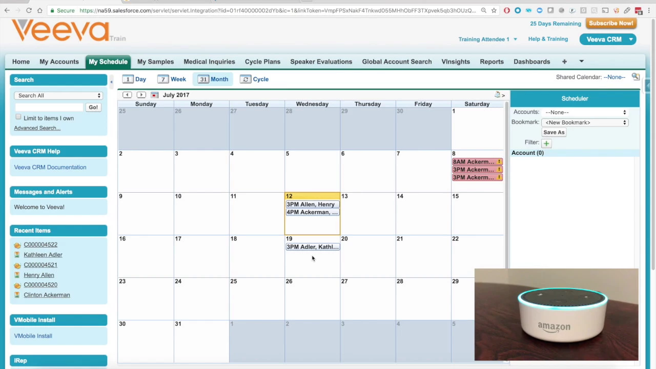 Voice Assistant to control Veeva CRM